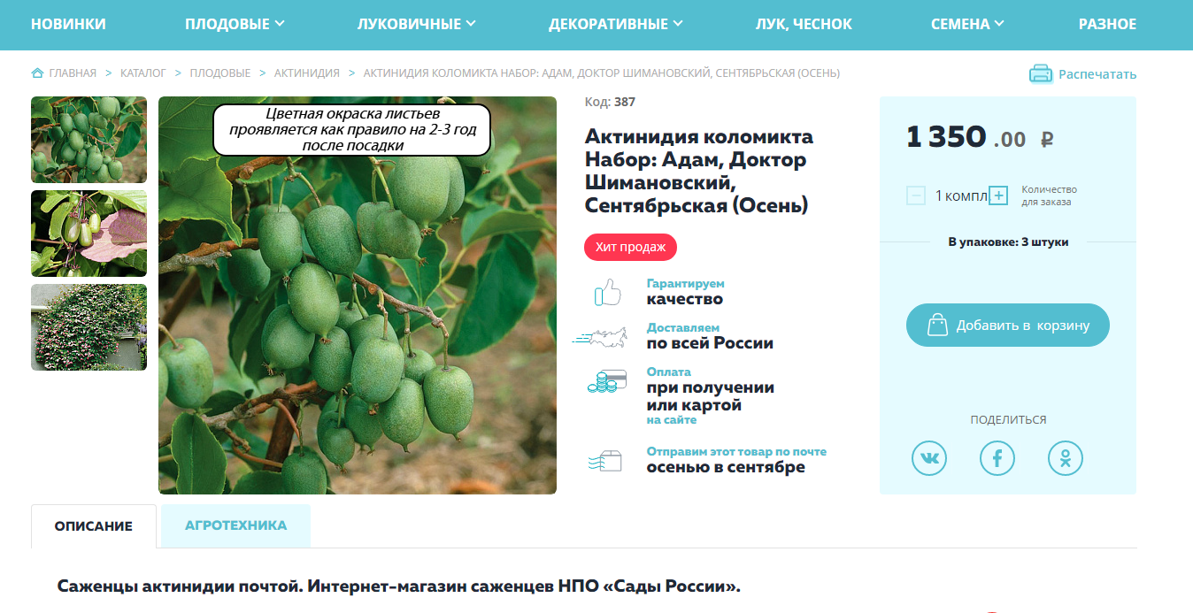 Сады России Сайт Интернет Магазин Каталог